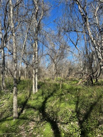 Lot 961 Riverside Drive Bastrop TX 78602