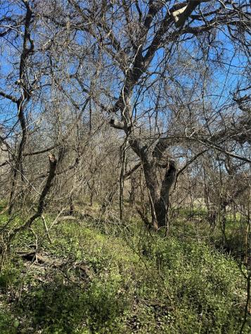 Lot 961 Riverside Drive Bastrop TX 78602