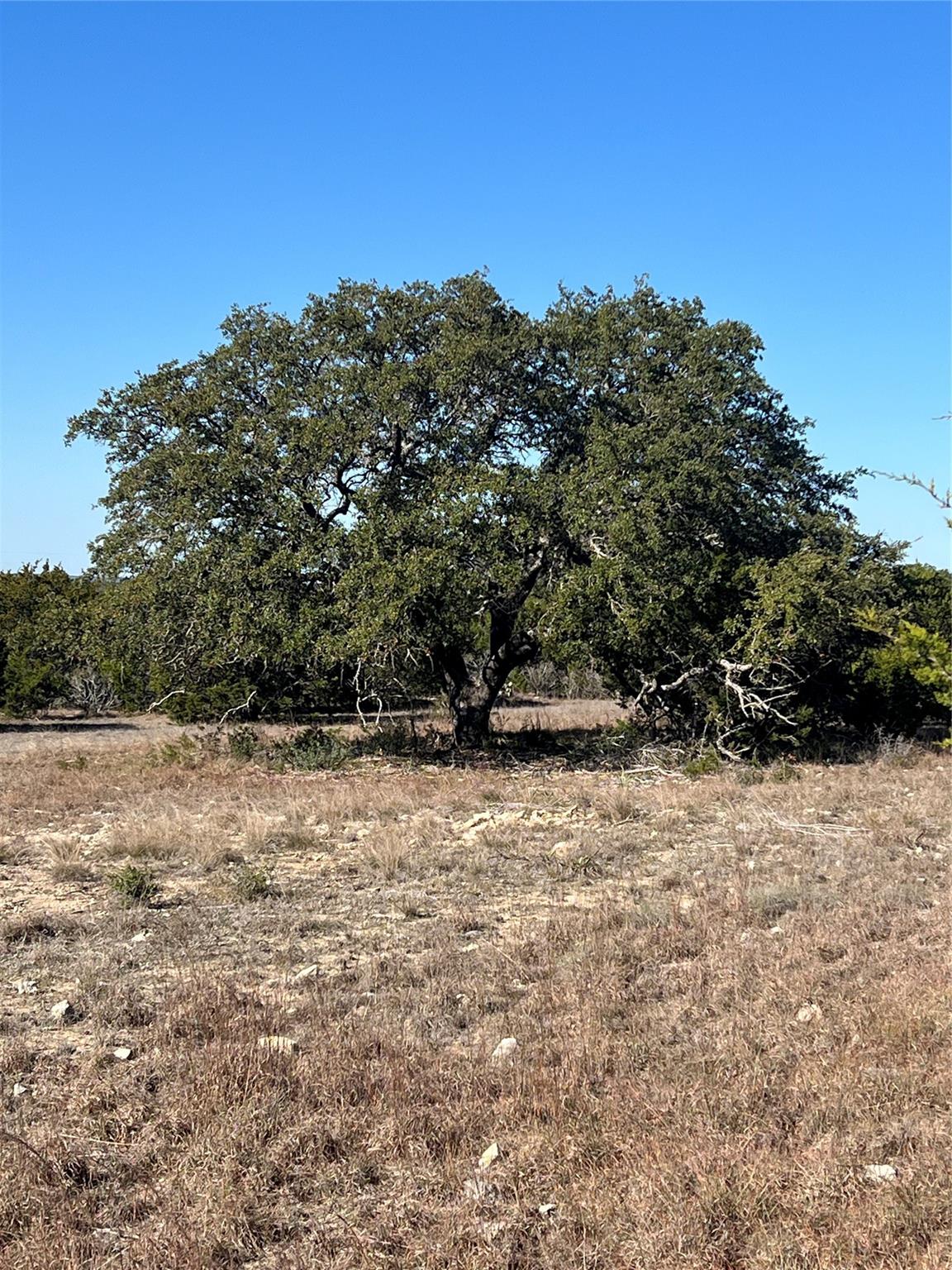 Lot 138 High Point Drive Kempner TX 76539