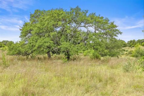 1198 N Walnut Springs Road Johnson City TX 78636