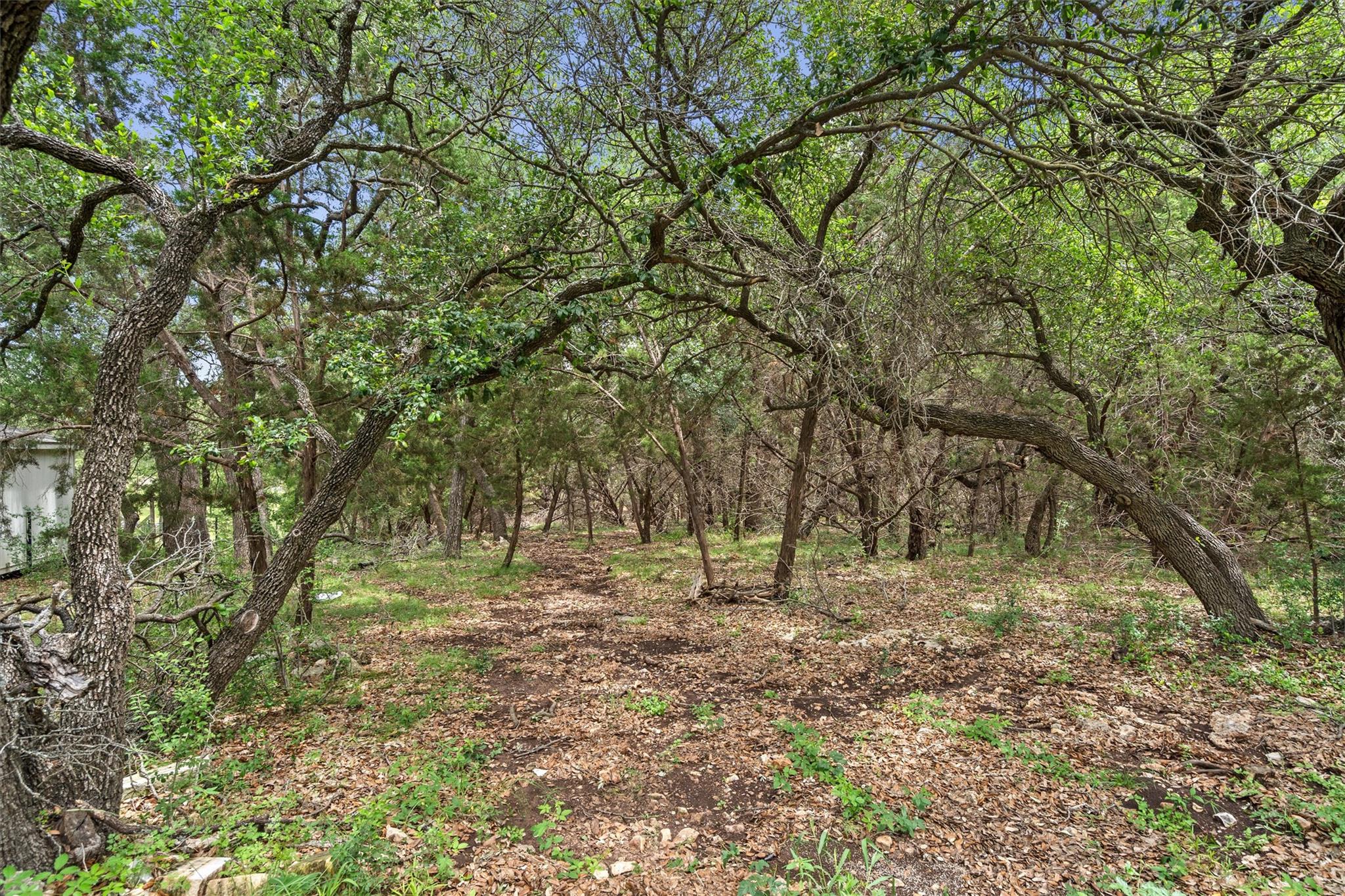 120 E Rustle Cove Georgetown TX 78628