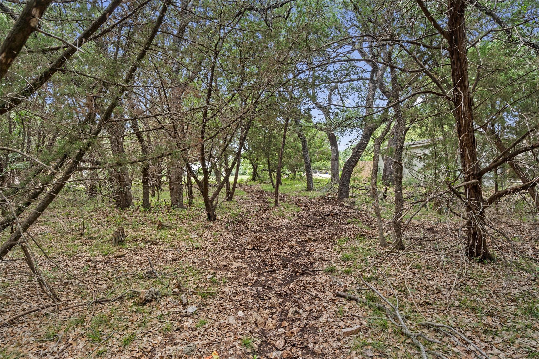 120 E Rustle Cove Georgetown TX 78628