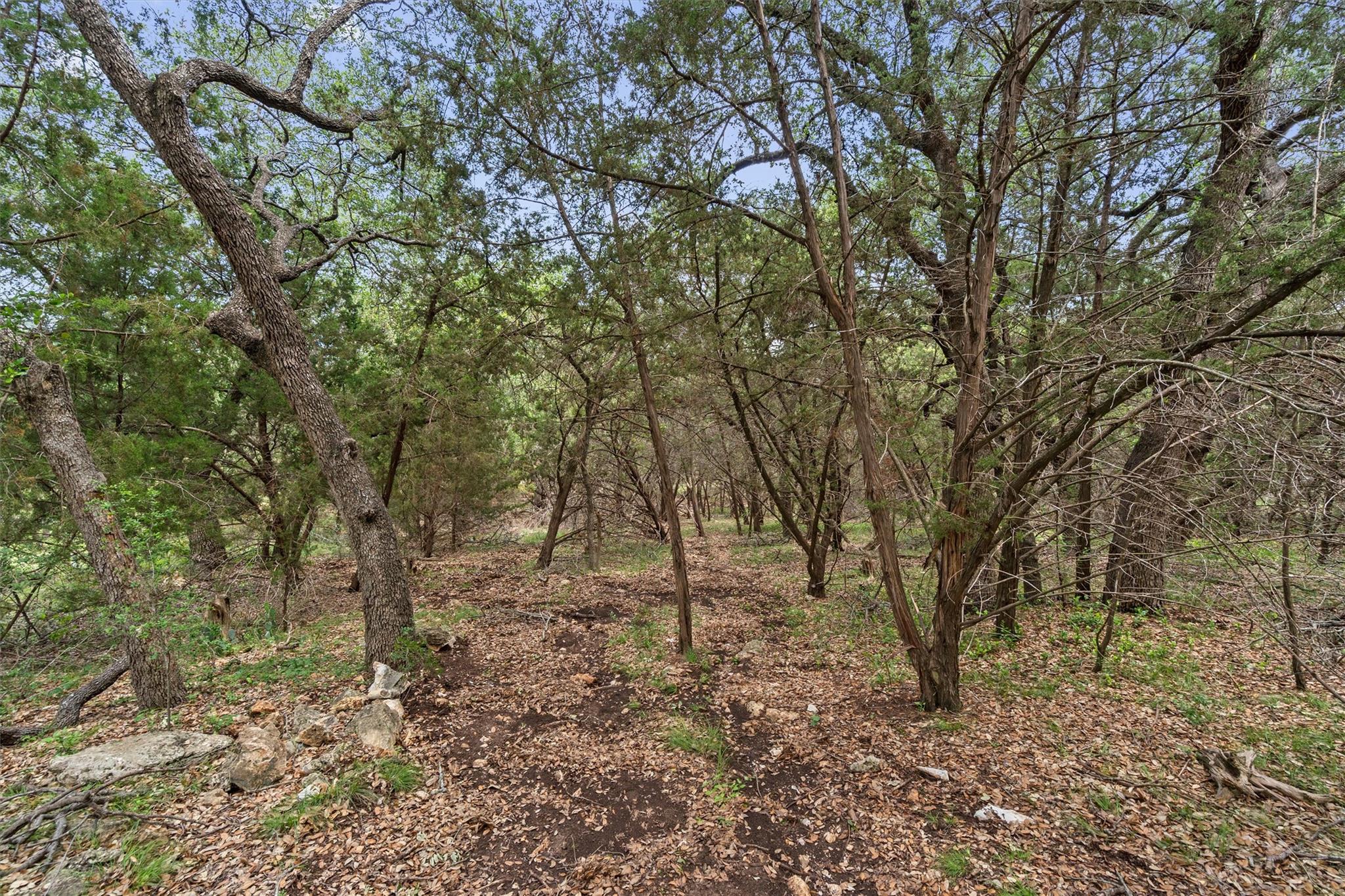 120 E Rustle Cove Georgetown TX 78628