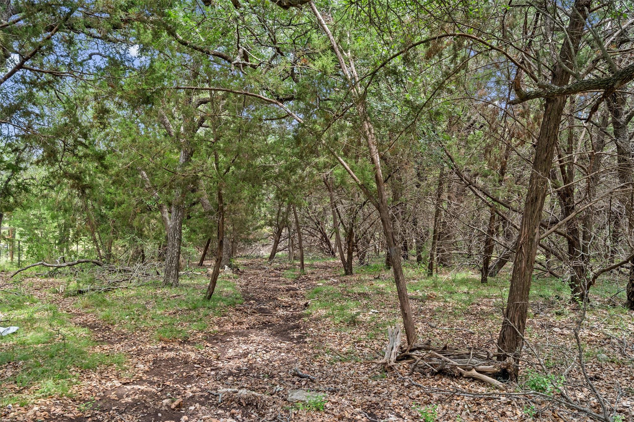 120 E Rustle Cove Georgetown TX 78628