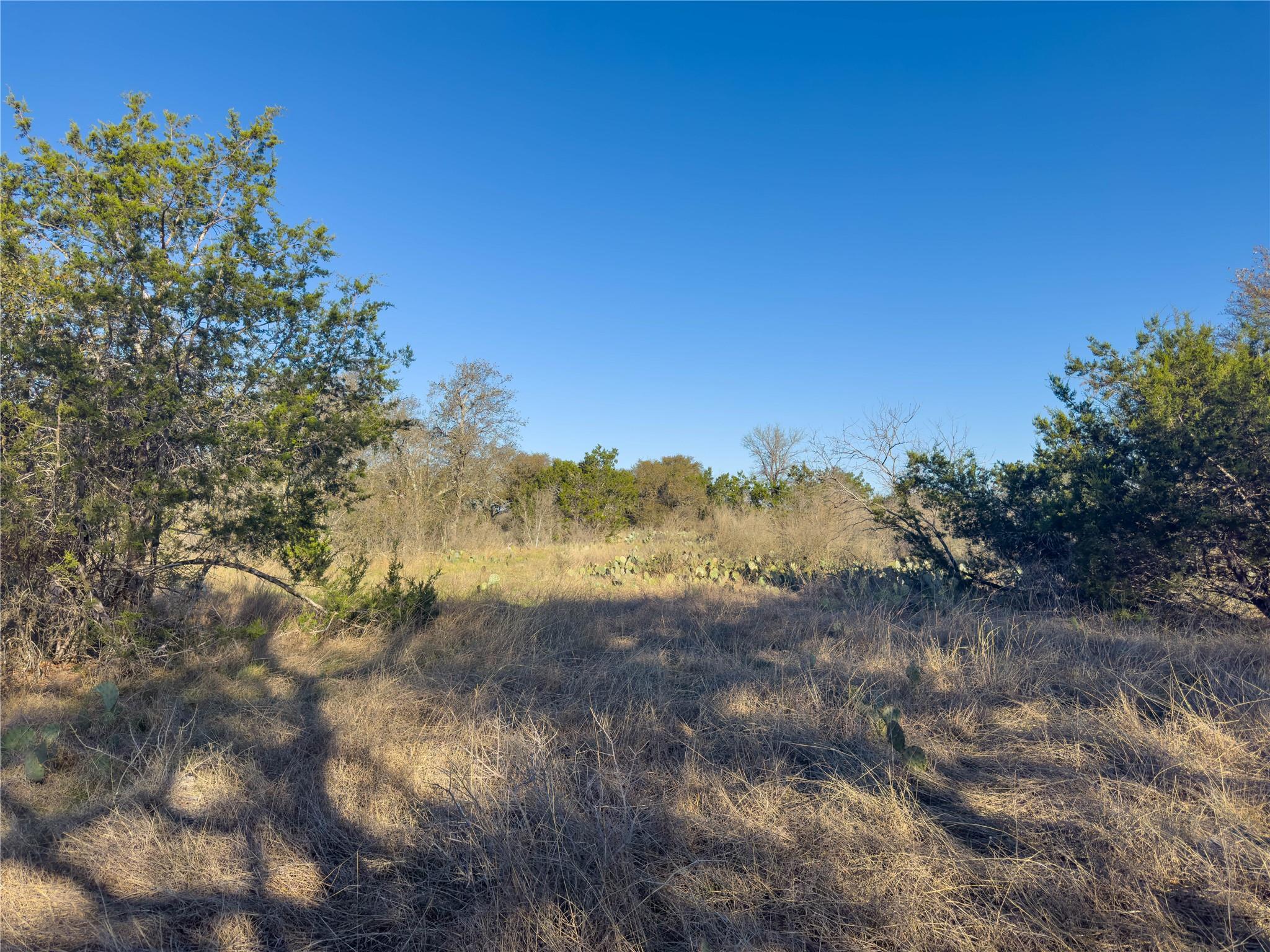 Lot 196-a Marble Falls Court Spicewood TX 78669