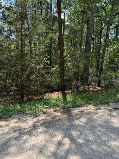 Lot 250 Hekili Drive Bastrop TX 78602