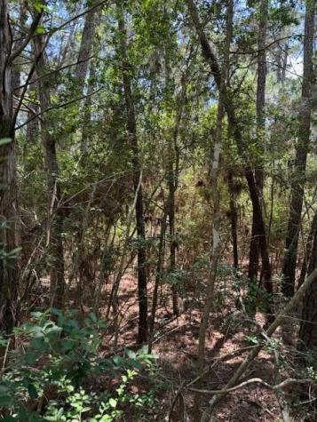 Lot 250 Hekili Drive Bastrop TX 78602