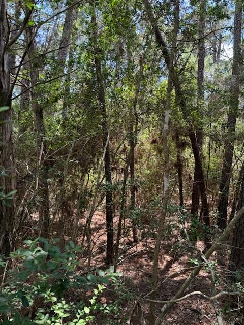 Lot 250 Hekili Drive Bastrop TX 78602