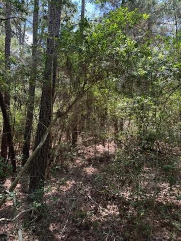 Lot 250 Hekili Drive Bastrop TX 78602