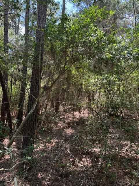 Lot 250 Hekili Drive Bastrop TX 78602