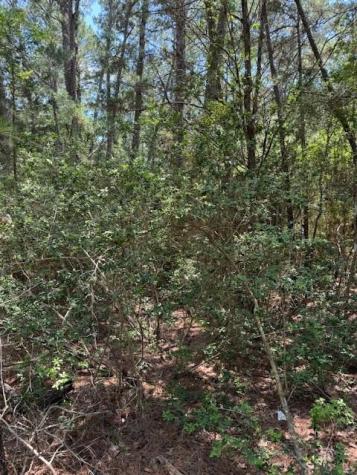 Lot 250 Hekili Drive Bastrop TX 78602