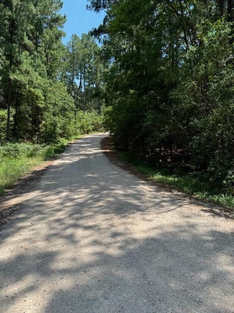 Lot 250 Hekili Drive Bastrop TX 78602