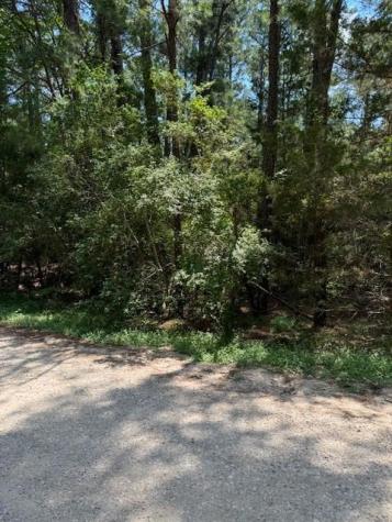 Lot 250 Hekili Drive Bastrop TX 78602