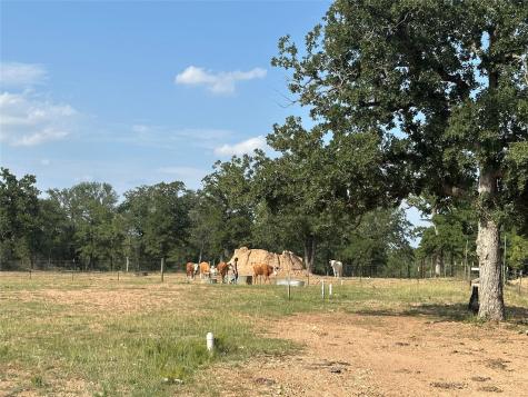 10096 S Us Highway 183 Highway Lockhart TX 78644