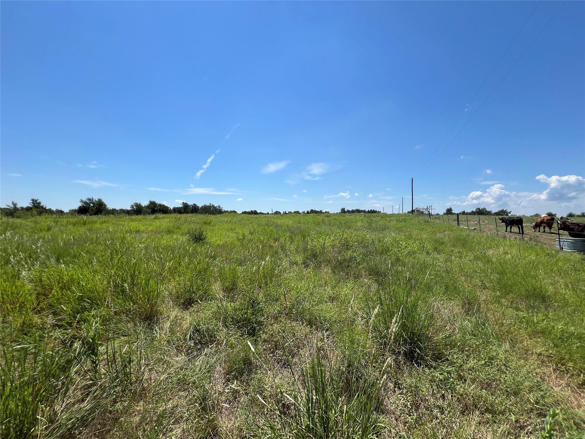 2600 Cr 466 Elgin TX 78621