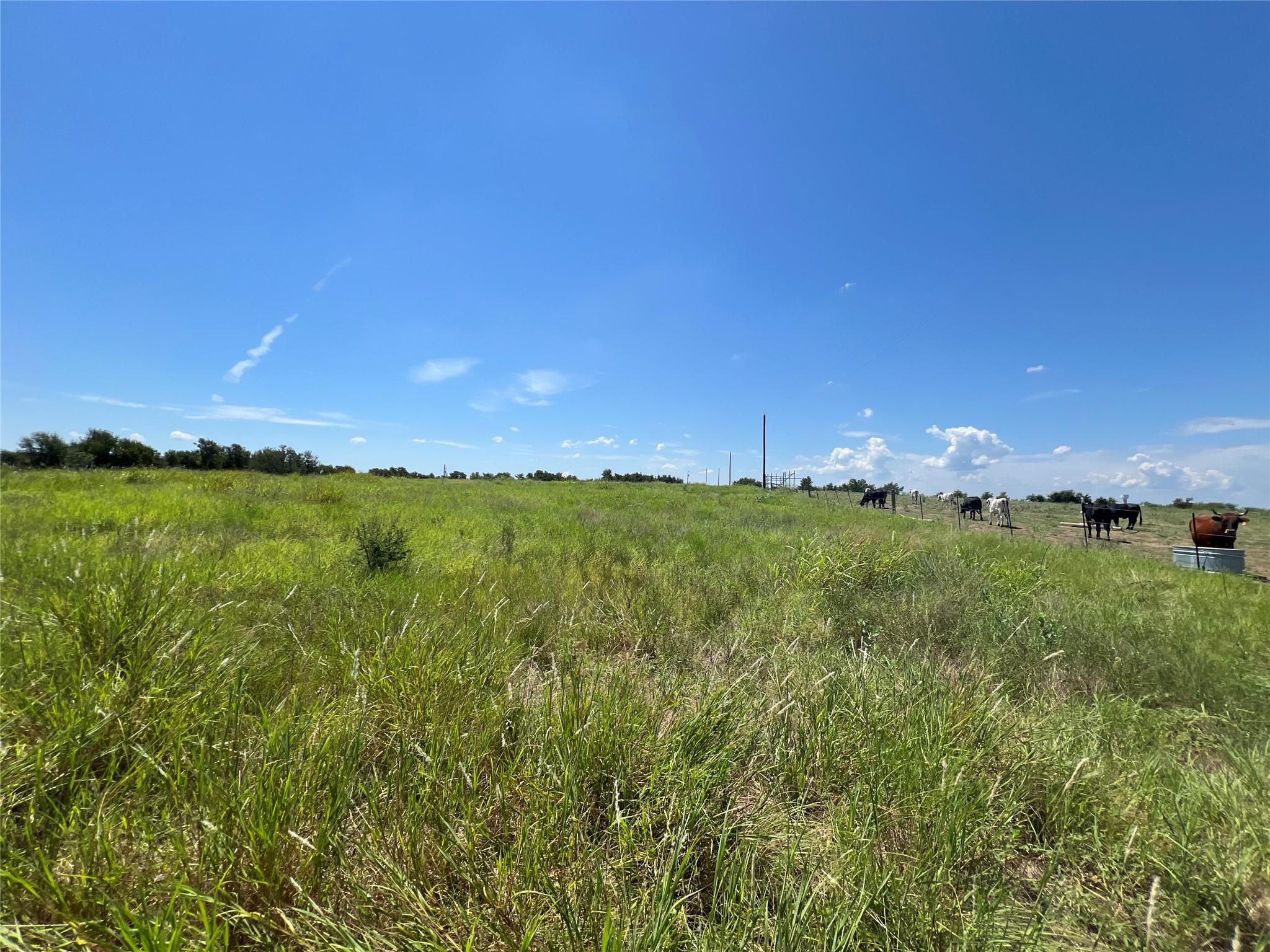 2600 Cr 466 Elgin TX 78621