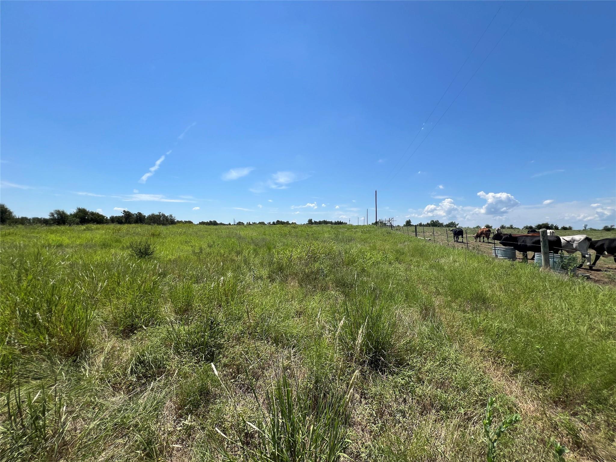 2600 Cr 466 Elgin TX 78621