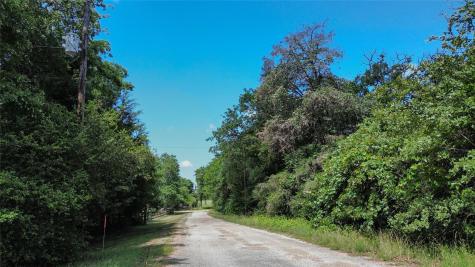 Tbd Phillips Street Phillips Street W Lexington TX 78947