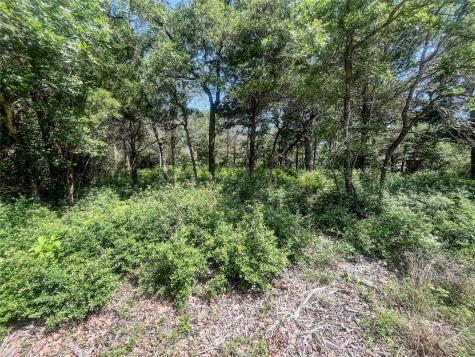 Tbd Phillips Street Phillips Street W Lexington TX 78947