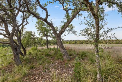 103 Mount Gainor Road Dripping Springs TX 78620