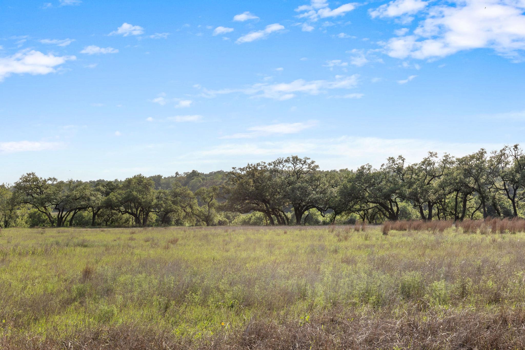 103 Mount Gainor Road Dripping Springs TX 78620