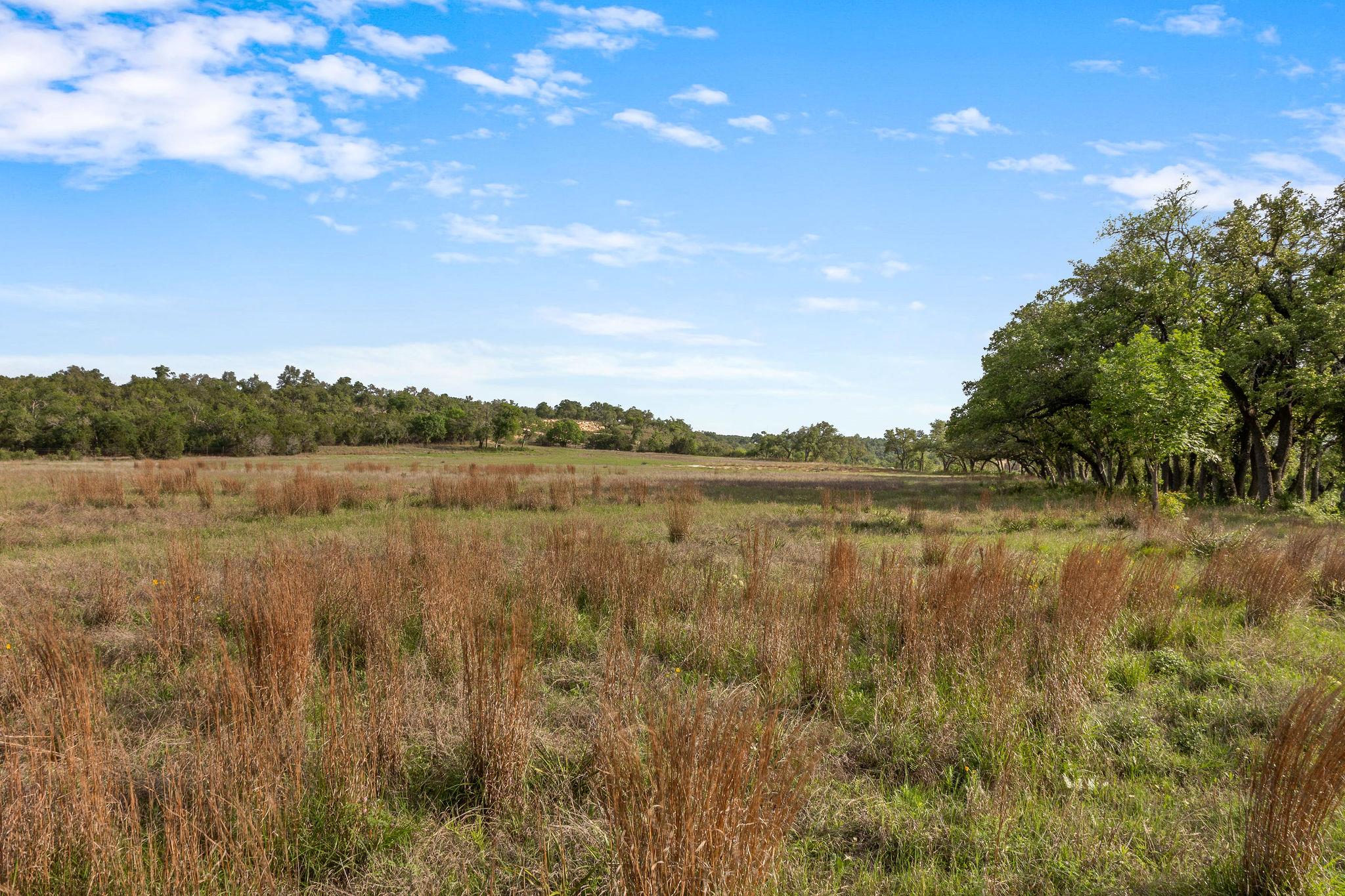 103 Mount Gainor Road Dripping Springs TX 78620