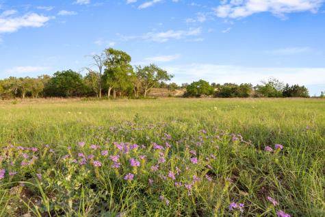 103 Mount Gainor Road Dripping Springs TX 78620