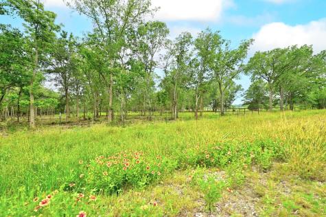 Tbd Fm 20 Lockhart TX 78644