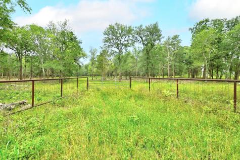 Tbd Fm 20 Lockhart TX 78644