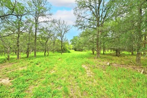 Tbd Fm 20 Lockhart TX 78644
