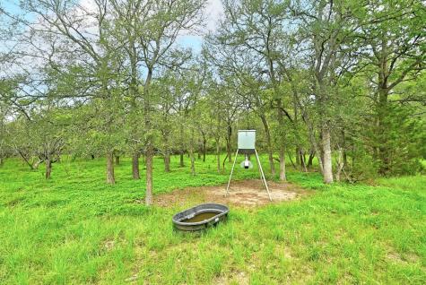 Tbd Fm 20 Lockhart TX 78644