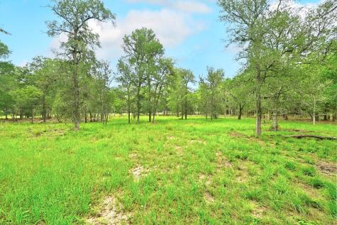 Tbd Fm 20 Lockhart TX 78644
