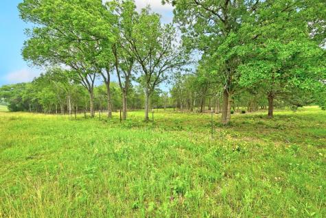 Tbd Fm 20 Lockhart TX 78644