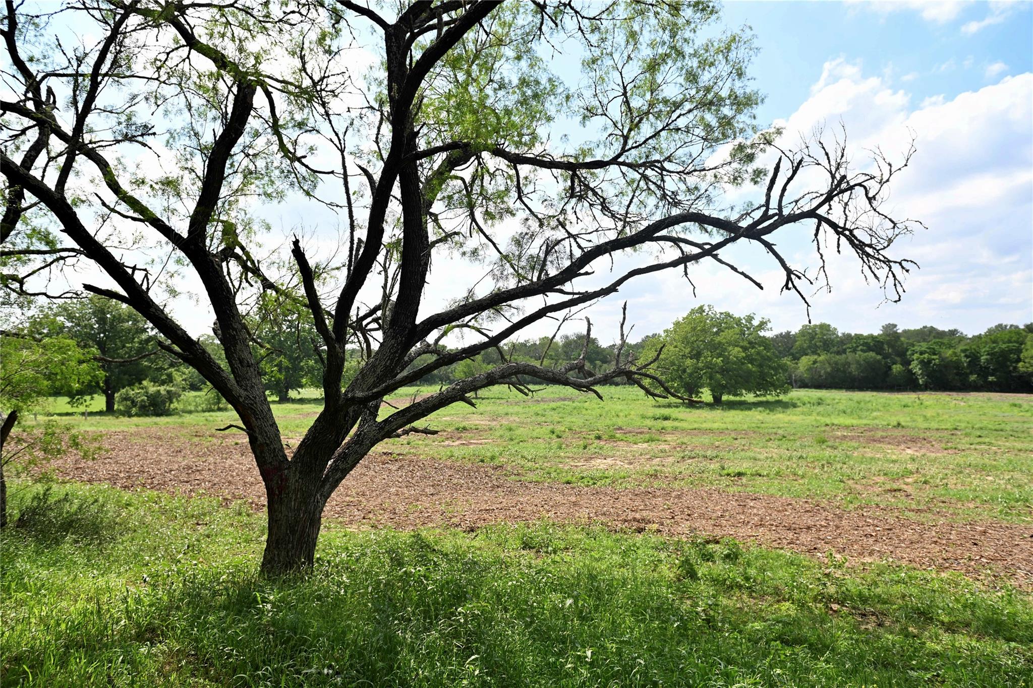Lot 5 Valley Creek Drive Cedar Creek TX 78612