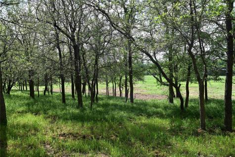 Lot 5 Valley Creek Drive Cedar Creek TX 78612