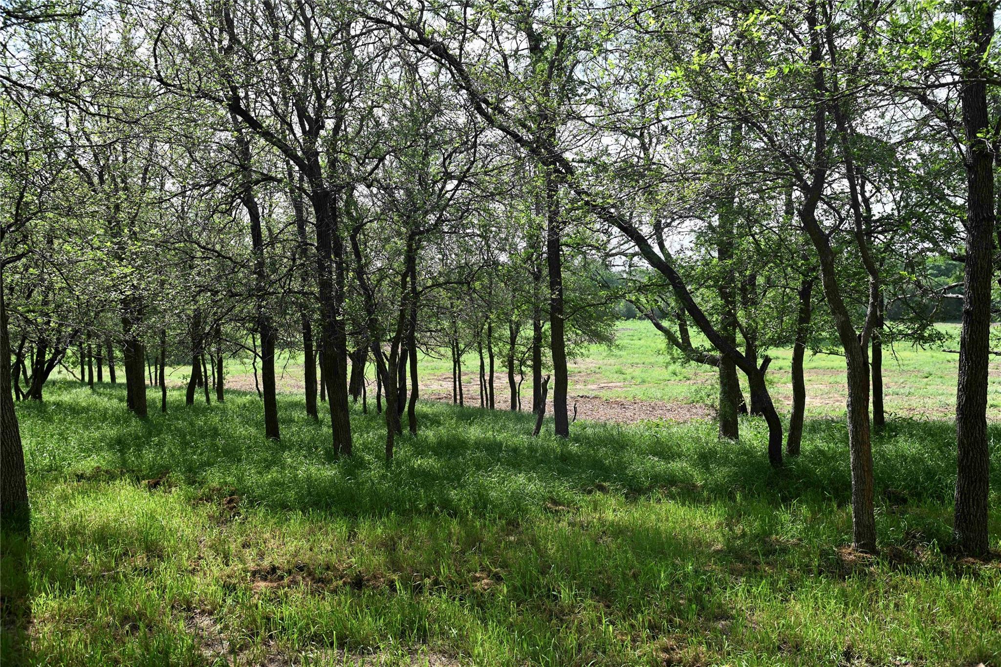 Lot 5 Valley Creek Drive Cedar Creek TX 78612