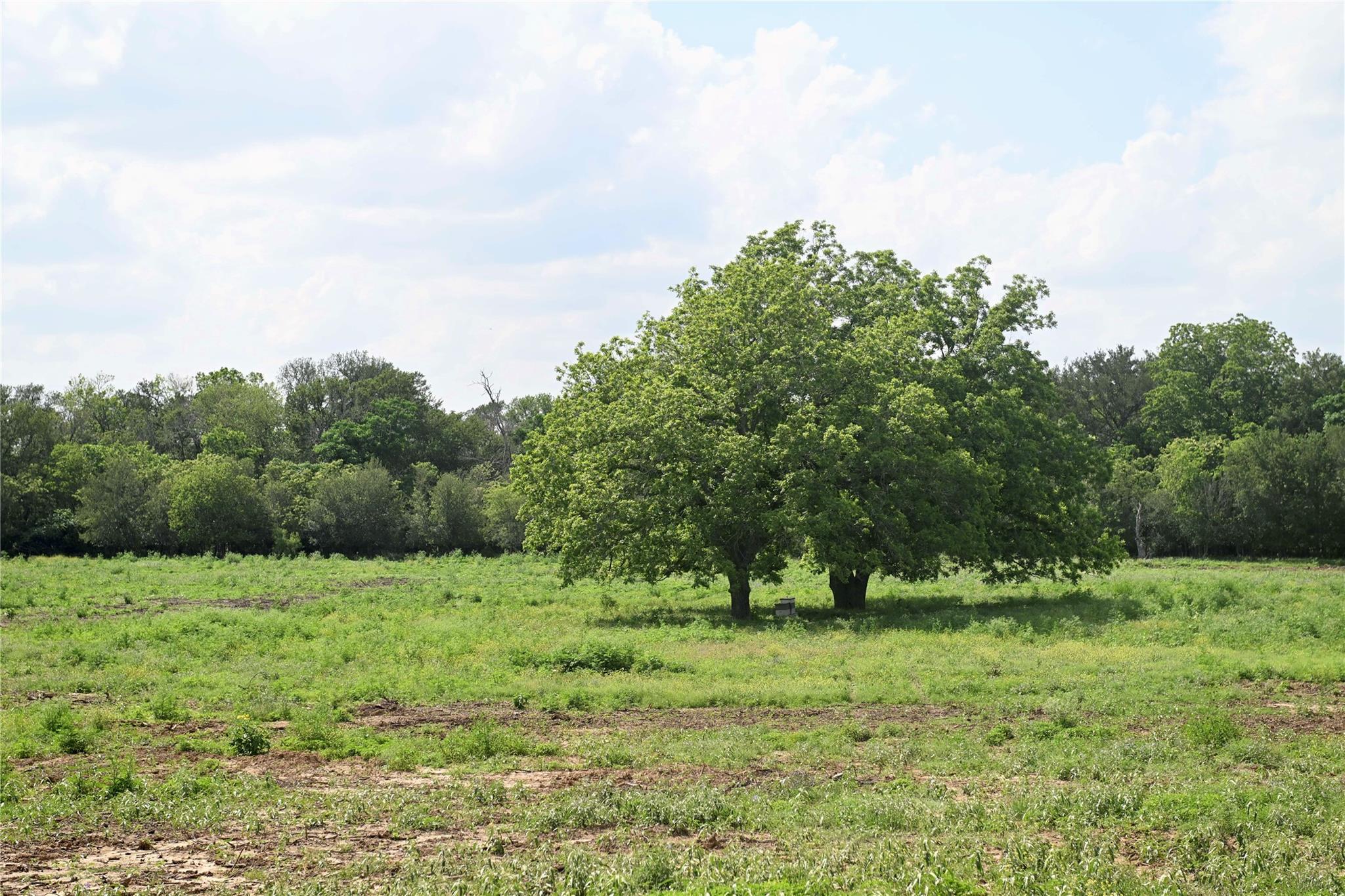 Lot 5 Valley Creek Drive Cedar Creek TX 78612