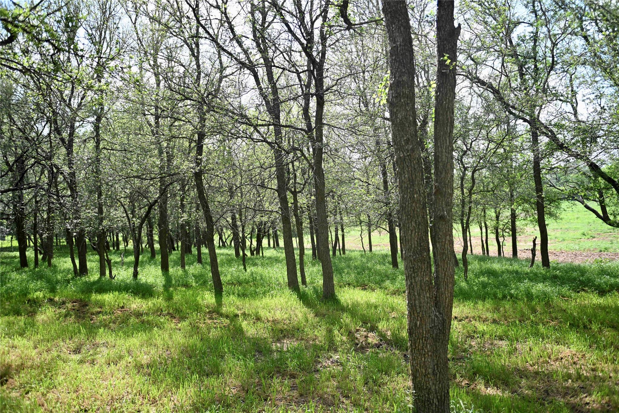 Lot 5 Valley Creek Drive Cedar Creek TX 78612