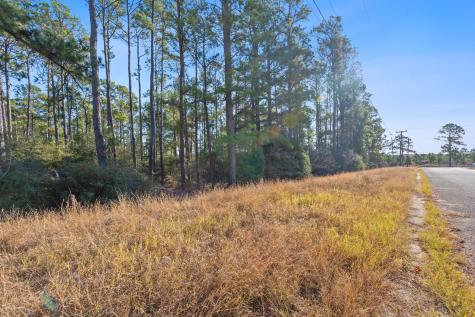 Lot 65 State Highway 21 Bastrop TX 78602