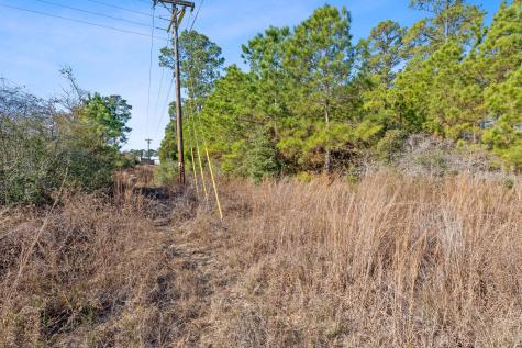 Lot 65 State Highway 21 Bastrop TX 78602