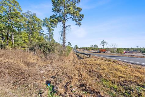 Lot 65 State Highway 21 Bastrop TX 78602