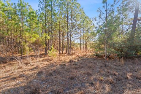 Lot 65 State Highway 21 Bastrop TX 78602