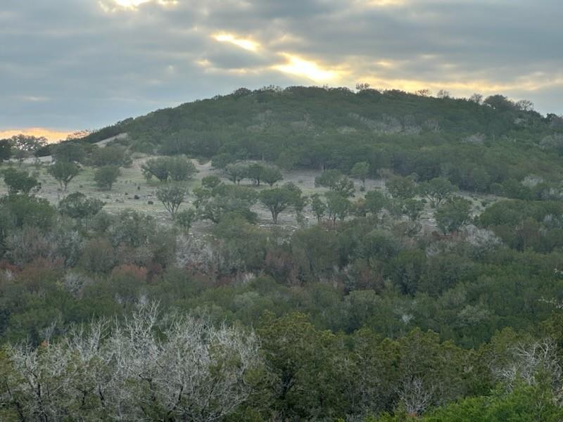 0 N Mountain Laurel Lane Burnet TX 78611