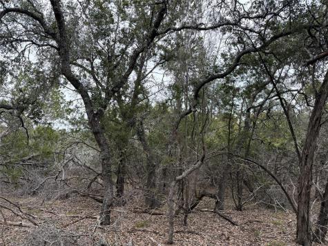 1656 Noble Trail Canyon Lake TX 78133