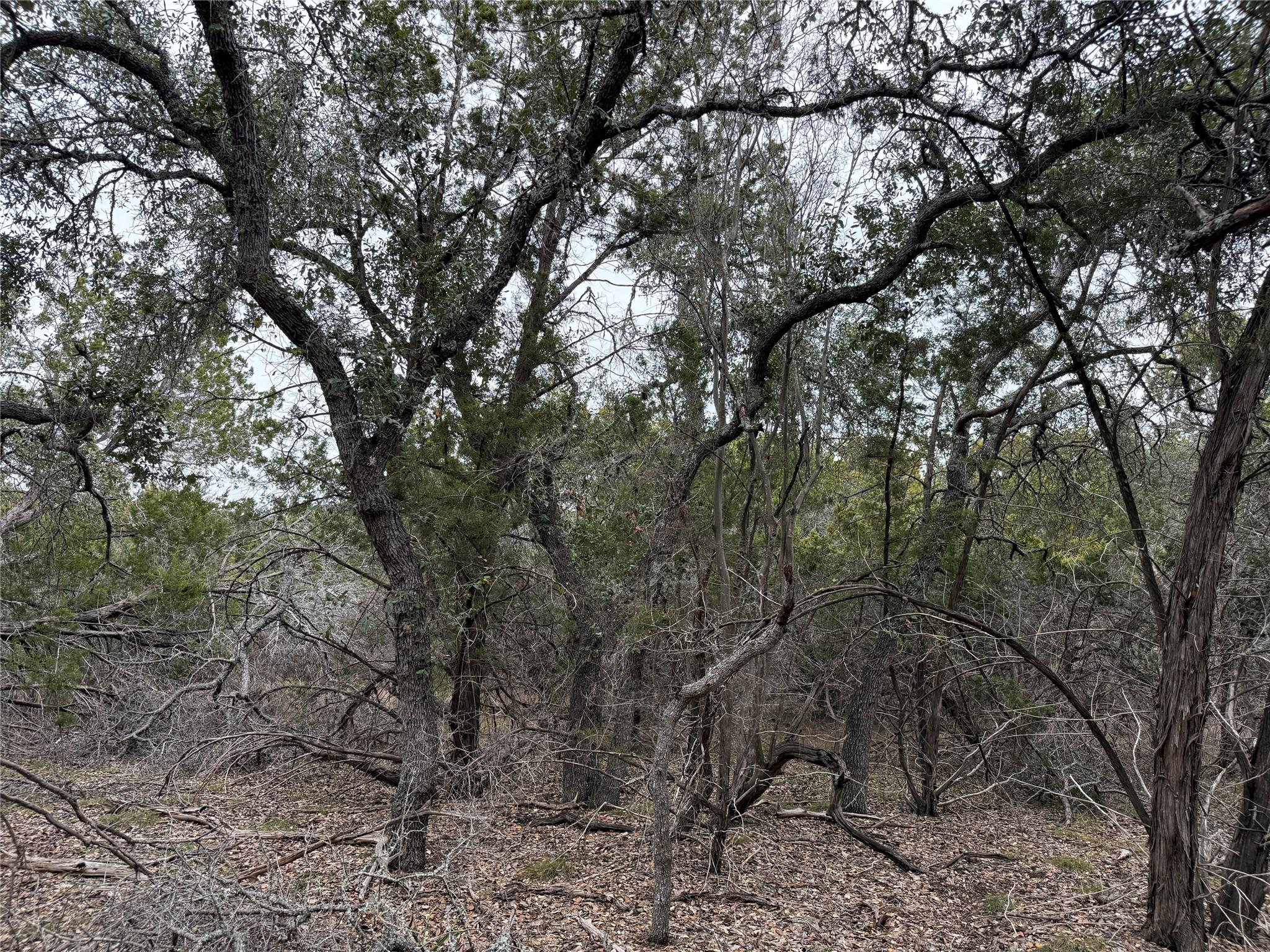1656 Noble Trail Canyon Lake TX 78133
