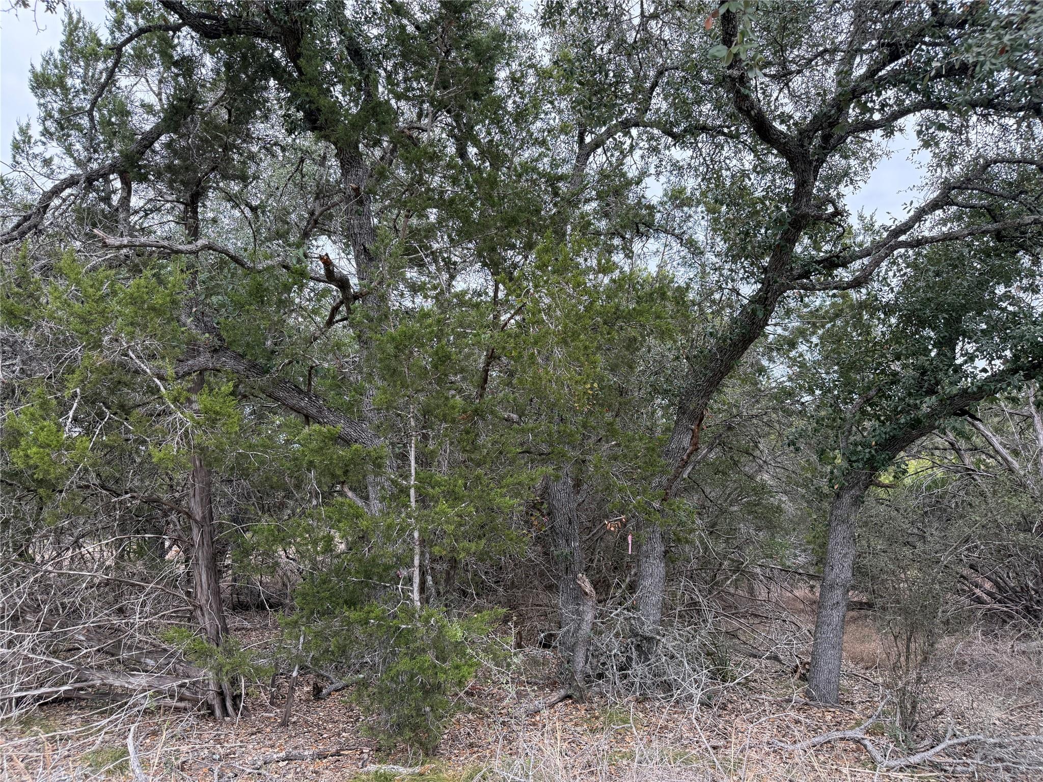 1656 Noble Trail Canyon Lake TX 78133