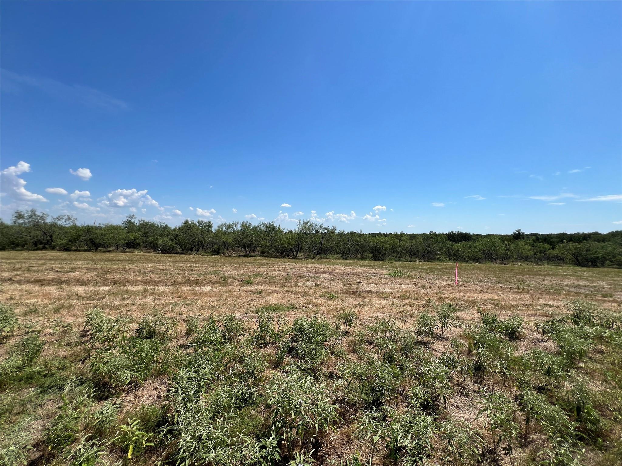 2614 Cr 466 Elgin TX 78621