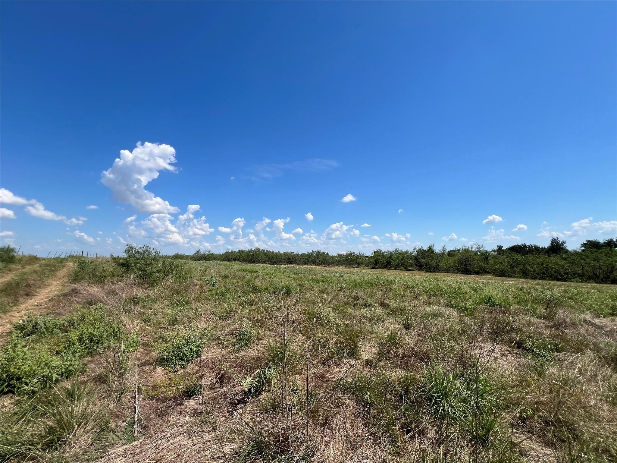 2614 Cr 466 Elgin TX 78621