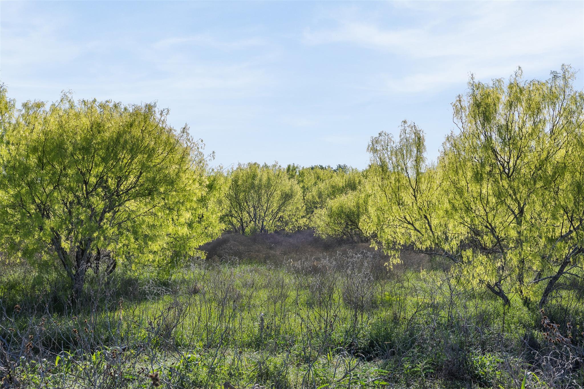 0000 County Road 414 Buckholts TX 76518
