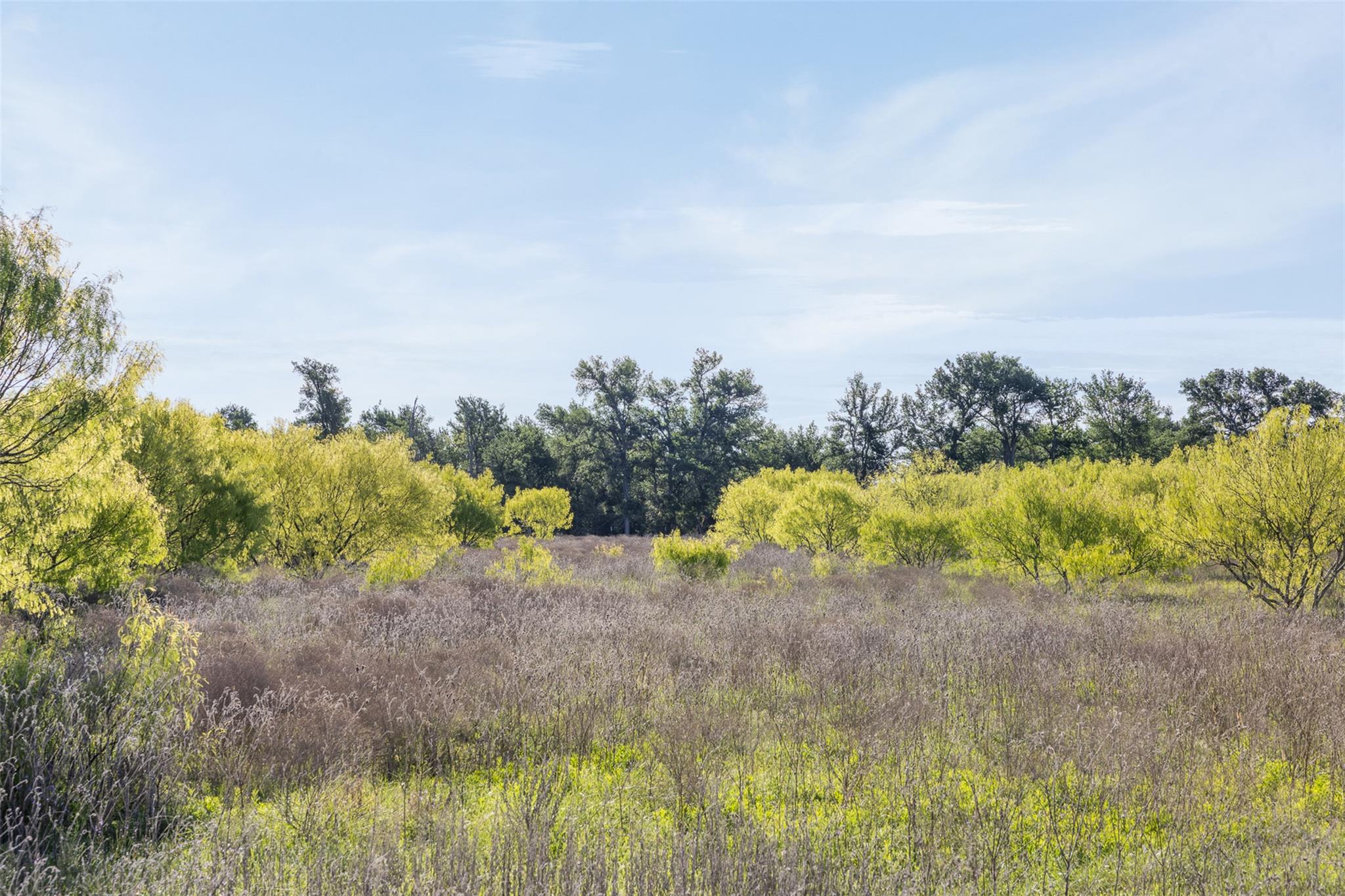 0000 County Road 414 Buckholts TX 76518
